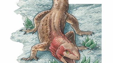 Reconstrucción del lagarto Alamitosphenos mineri, realizado por
Gabriel Lio. 