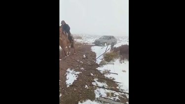 El video que compartió Weretilneck sobre el temporal de nieve en Río Negro: «¡Vamos picante!»