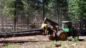 Neuquén ratifica multa a YPF por un accidente en Bandurria Sur y acepta aporte para Corfone