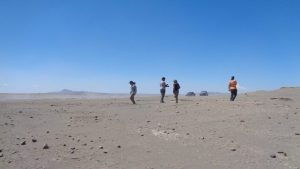 Inédito: descubren restos arqueológicos de un perro usado como animal de carga en Patagonia