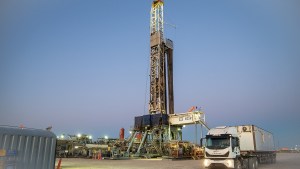 Cuando Vaca Muerta era un mar y tenía costa propia: así surgieron el petróleo y el gas en Neuquén