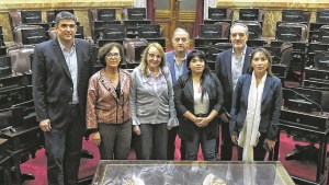 Ley Bases y paquete fiscal: los senadores de la Patagonia hicieron valer su peso en la Cámara