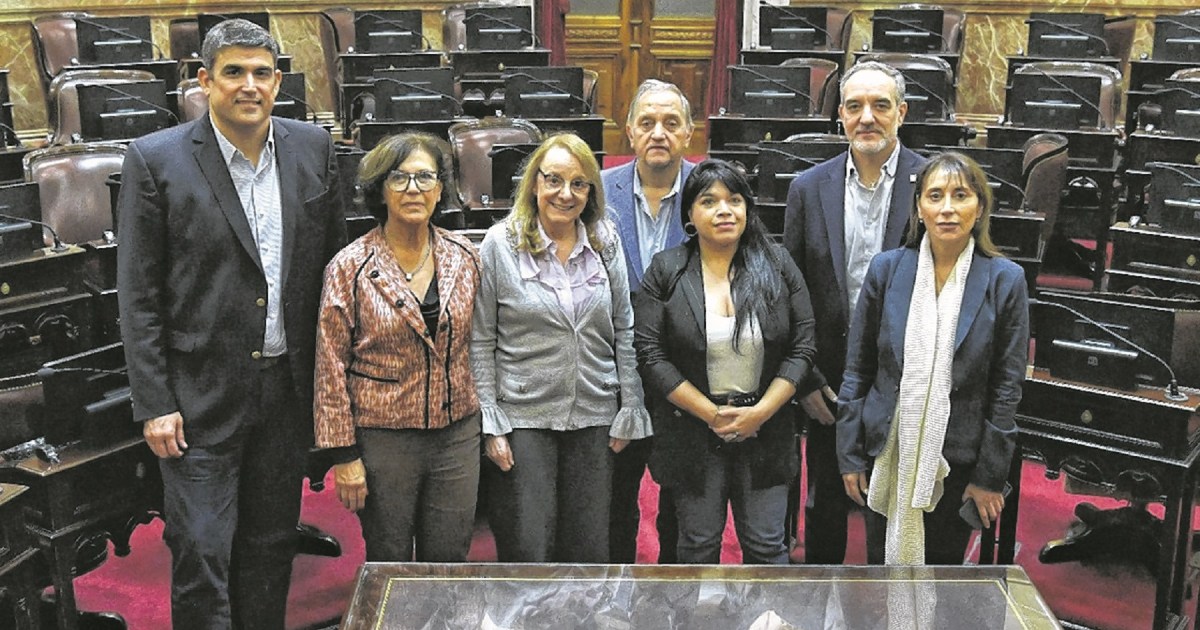 Legislation and monetary bundle: Senators from Patagonia make their weight calculation within the Chamber