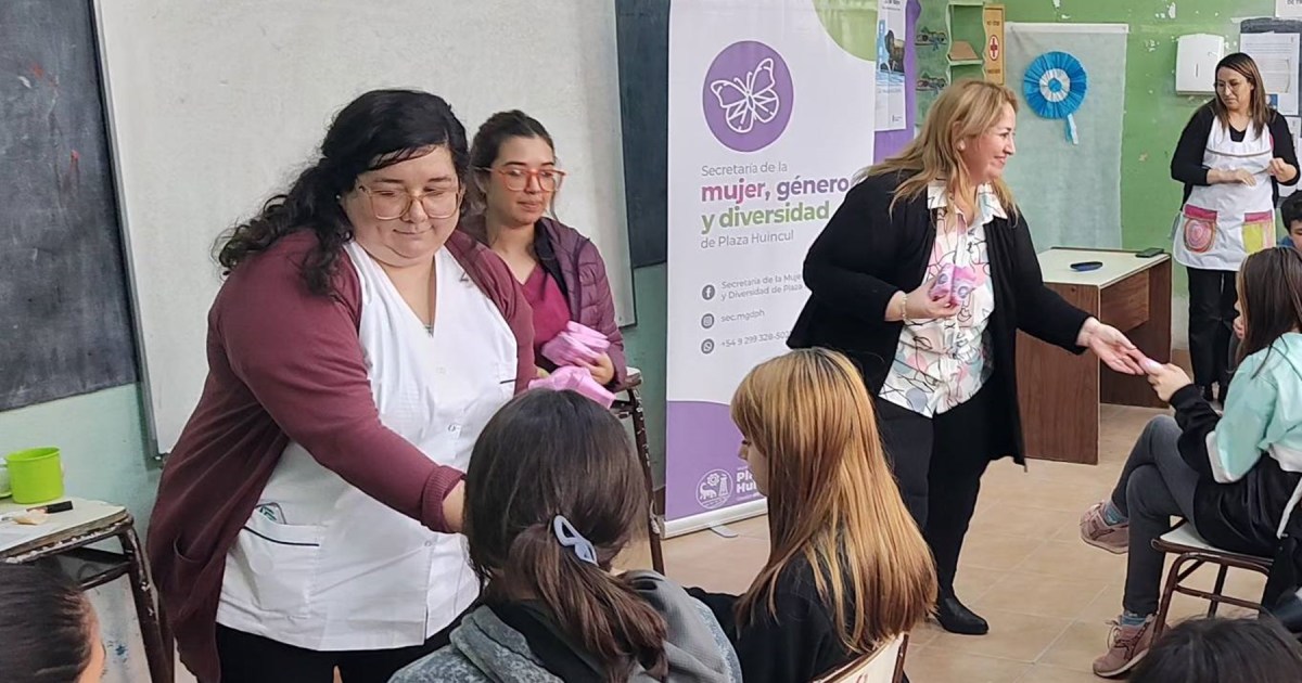 The municipality of Neuquén will distribute environmental wipes to lift consciousness about menstrual well being