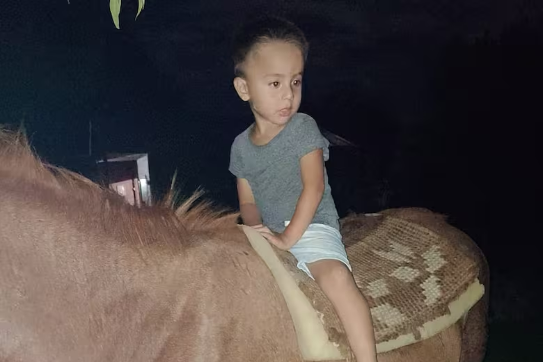 Búsqueda de Loan Danilo Peña: Laudelina, su tía, confesó que el nene Búsqueda de Loan Danilo Peña: Laudelina, su tía, confesó que el nene