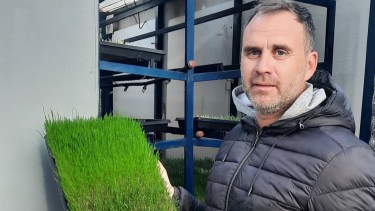 Juan Balogh, dueño de Forrajes Tecnol.