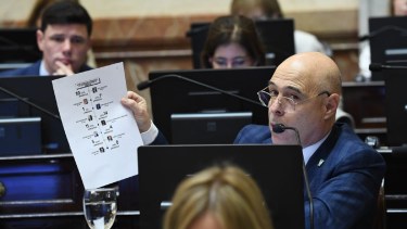 el presidente provisional del Senado habló de la polémica. 