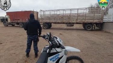 Un camión fue retenido por falta de documentación en Roca: secuestraron terneros, toros y vacas