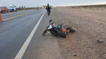 Imagen de Chocó contra un caballo muerto sobre Ruta 67, cerca de la Autovía Norte de Neuquén