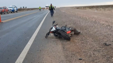 El motociclista chocó contra un caballo muerto.