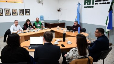 Estatales: en Río Negro el Gobierno y ATE avanzaron en la reglamentación del teletrabajo