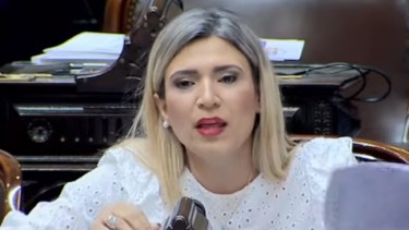 La diputada neuquina defendió la Ley Bases. 