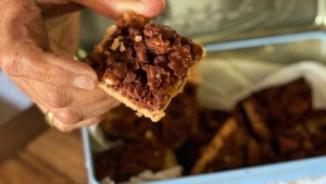 ¿Cómo estamos para unas picadura de abeja?