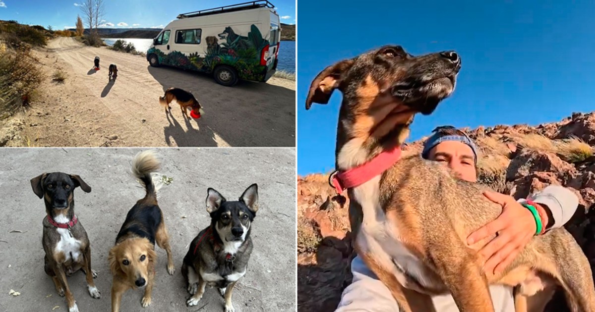 Recorre la Patagonia en un motorhome con los tres perros que adoptó en