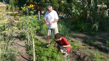 Menos del 30% de las frutas y verduras que consumimos en la Patagonia son de producción local: ¿Cómo revertir esto?