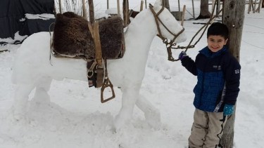 La cara más linda del temporal en Neuquén: la historia del caballito criollo de nieve que se hizo viral . Foto: Familia Pinilla