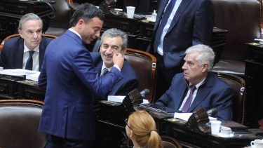 Los bloques de la oposición aliada.