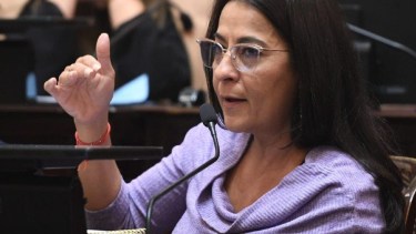 La senadora votó a favor del RIGI. 