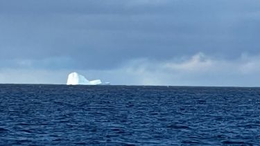 Alerta en Ushuaia por tres iceberg que ingresaron en la zona de circulación de buques