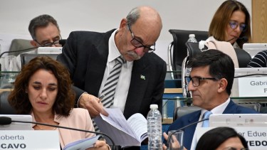  La iniciativa corresponde al legislador Frugoni de la CC ARI. Foto: Marcelo Ochoa.