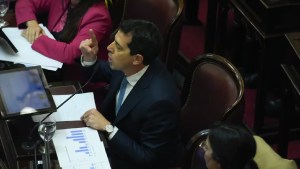 Video | Ley Bases: el tenso cruce entre Wado de Pedro y Villarruel, «¡Usted me sacó la palabra!»