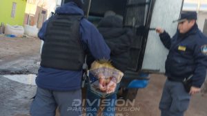 Combate al narcomenudeo en Neuquén: cuatro detenidos en un megaoperativo este fin de semana