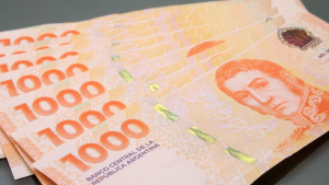 Jubilaciones, pensiones y asignaciones de Anses: quiénes cobran este viernes 12 de julio 2024