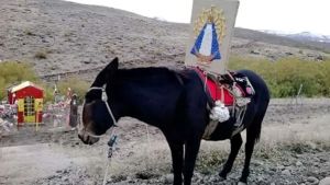 Obras inclusivas desde Buenos Aires hasta la Patagonia: la conexión a través del arte