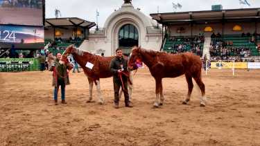 Andrea y Gerardo de Maquinchao en La Rural luciendo sus caballos con rulos. Foto: gentileza