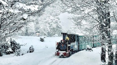 Los maravillosos trenes turísticos de Argentina,  entre la nieve o las nubes: cuánto salen los pasajes