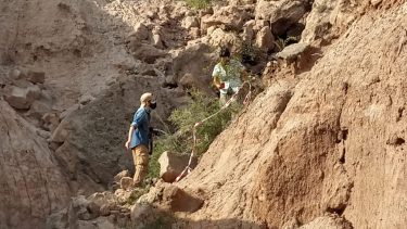 Un vecino avisó el hallazgo de restos que estaban en riesgo de destrucción cerca de Fernández Oro, Río Negro.