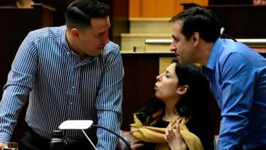 La legislatura tuvo hoy una sesión especial (Cecilia Maletti)