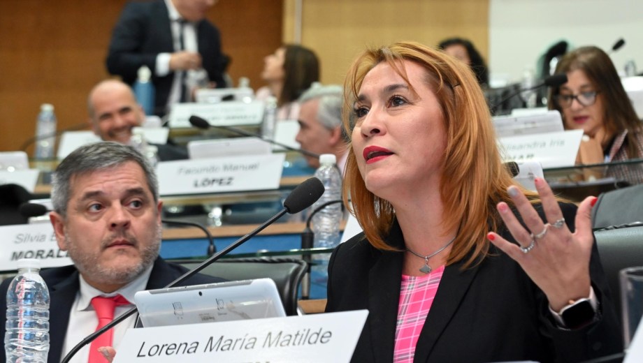 Según la legisladora la idea es crear nodos regionales que permitan que cada zona Andina, Atlántica, Valle y Línea Sur aporte desde su identidad productiva y científica.