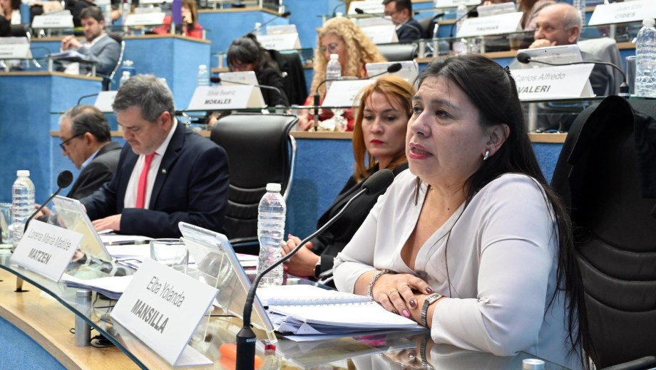 Elba Mansilla, presentó un proyecto de ley para eliminar una tasa judicial destinada a Sitrajur. Foto: Marcelo Ochoa