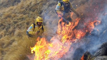 Bomberos combaten las llamas. Foto Gobierno de Córdoba
