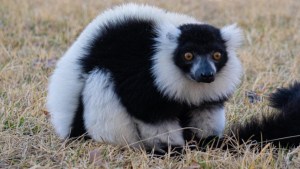Bubalcó se prepara para vacaciones de invierno con estos descuentos y actividades especiales
