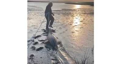 Un rescate a pura emoción