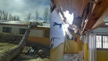 El techo de la escuela quedó destruido por la caída del árbol. Foto: gentileza Aten