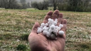 Después del graupel, frío polar y heladas en el Alto Valle: el tiempo para el cierre de la semana