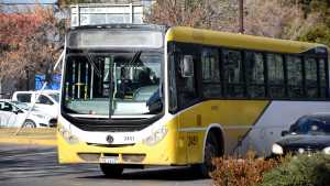 Denuncia de una pasajera obligó a cambios en los colectivos de Plottier: qué dijo la municipalidad