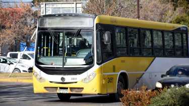 Denuncia de una pasajera obligó a cambios en los colectivos de Plottier: qué dijo la municipalidad