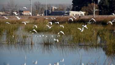Áreas protegidas de Neuquén en riesgo: quema de basura y un jeep en las bardas, ¿hay multas?