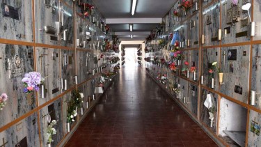 Un paseo por el cementerio de Neuquén. Foto: Matías Subat 
