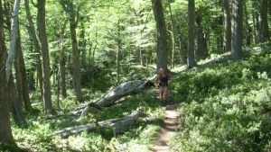 La adhesión al RIGI también hizo pie en Bariloche y El Bolsón