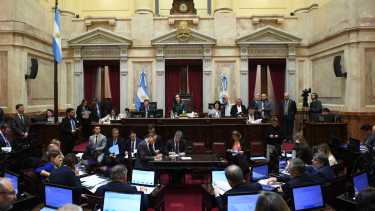 Los senadores aprobaron en junio pasado el RIGI. Foto: Archivo