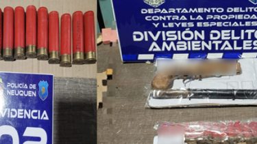 Mató al perro de un vecino.