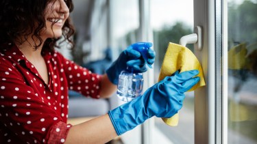 Empleadas domésticas.-