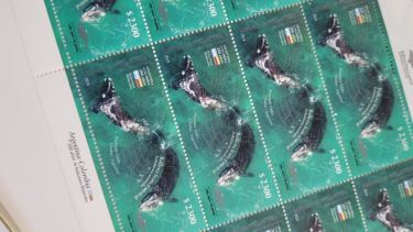 Las estampillas con la foto de Maxi Jonás