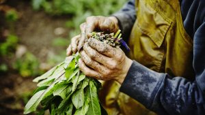 Reforma laboral: primer fallo sin multas por el despido de un trabajador no registrado