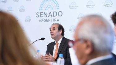 Manuel García Mansilla en el Senado.
